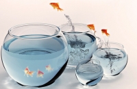 2014传统企业互联网转型10大问题